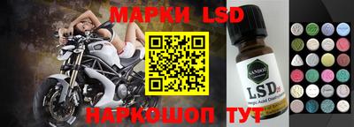 стафф Аргун