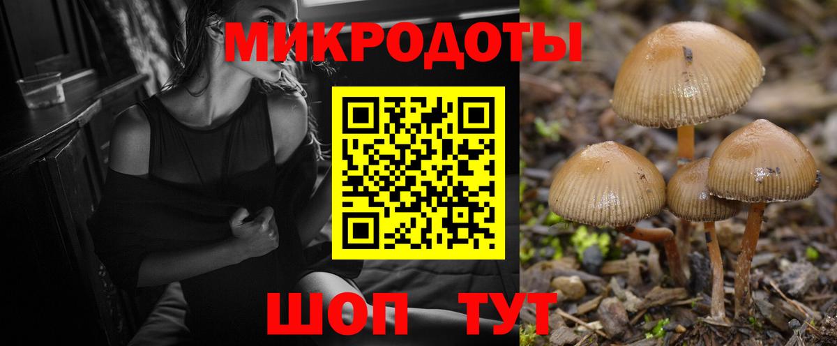 Баксан  Галлюциногенные грибы мицелий  Вход с VPN 